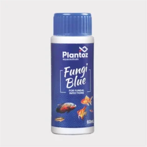 Home Anti fungal medicine for aquarium fish